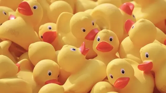 When is better to lose a quote